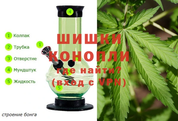 индика Алексеевка