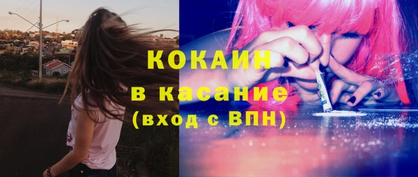индика Алексеевка