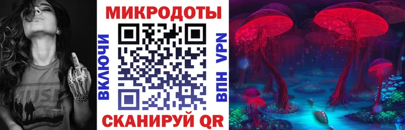 Псилоцибиновые грибы Psilocybe  Губкин 